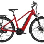 Carver Route E.420 Damen Sport