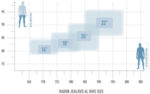Radon Jealous AL 9.0 MS – Bild 2