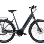 Gazelle Ultimate C8+ HMB Belt